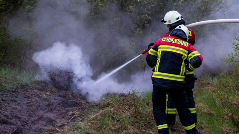 Stromleitung löst Waldbrand aus – trotz Starkregen