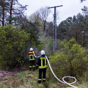 Starkstromleitung reißt und entzündet Waldboden trotz Starkregen in Drebkau, Illmersdorf