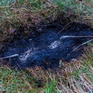 Starkstromleitung reißt und entzündet Waldboden trotz Starkregen in Drebkau, Illmersdorf