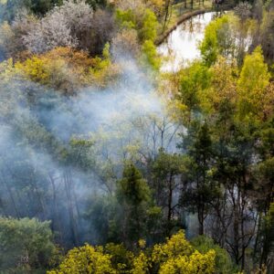 Zwei Waldbrände in Ruhland: Feuerwehr verhindert Ausbreitung