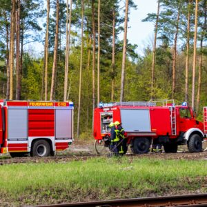 Zwei Waldbrände in Ruhland: Feuerwehr verhindert Ausbreitung