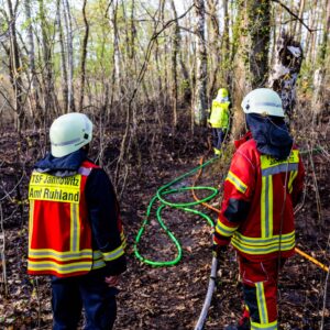 Zwei Waldbrände in Ruhland: Feuerwehr verhindert Ausbreitung