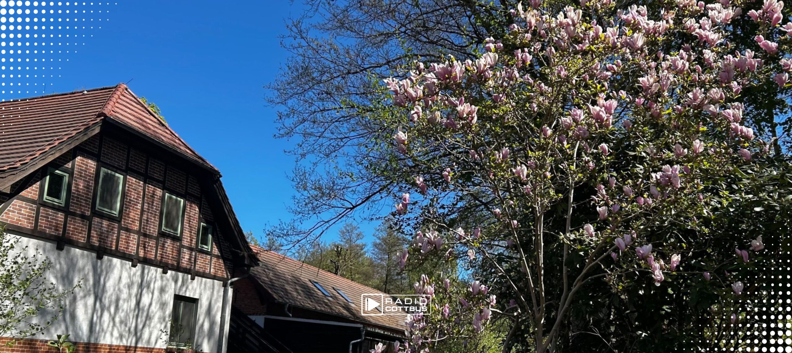Frühling im Spreewalddorf Lehde