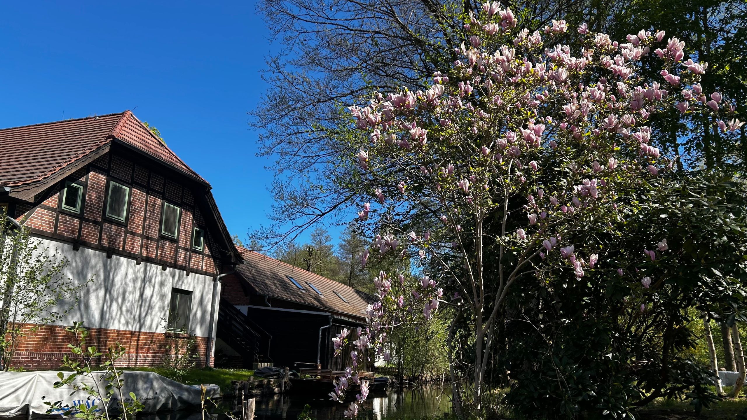 Frühling im Spreewalddorf Lehde