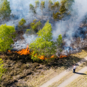 Waldbrand in Jüterbog
