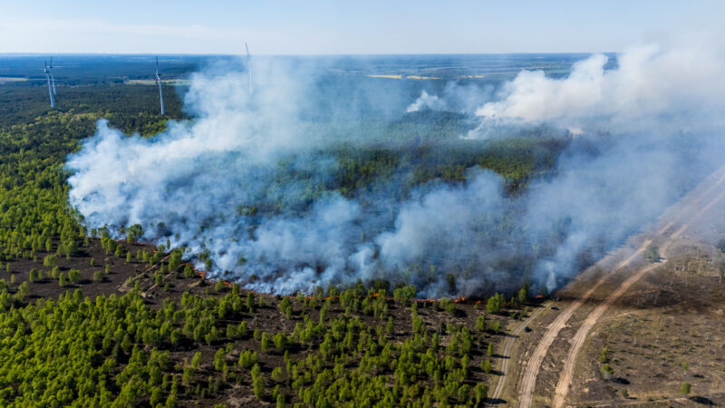 Waldbrand in Jüterbog breitet sich aus: Löscharbeiten erschwert