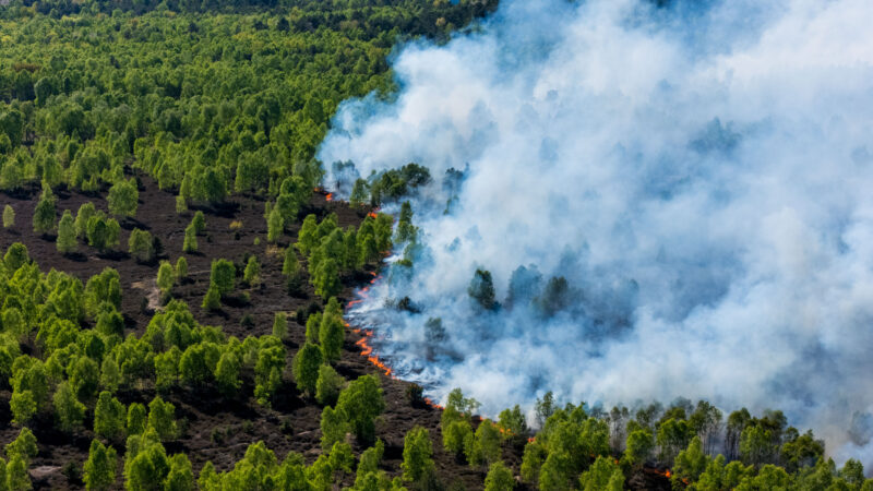 Waldbrand bei Jüterbog wächst auf über 100 Hektar