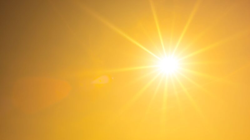 Hohe Waldbrandgefahr in Brandenburg: Osten erreicht Stufe 4