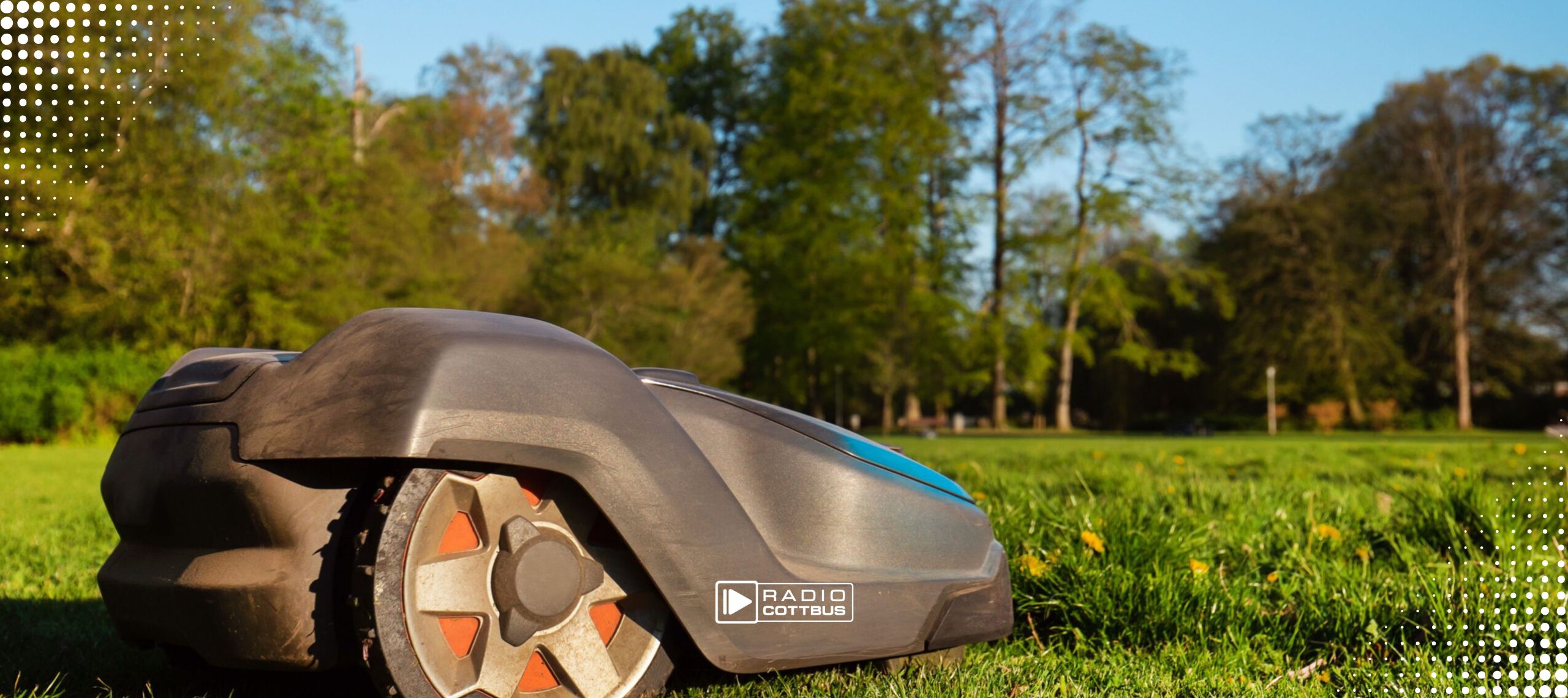 Mähroboter auf einer Wiese