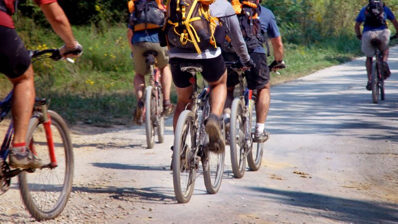 Landkreis Dahme-Spreewald baut Radwegenetz massiv aus