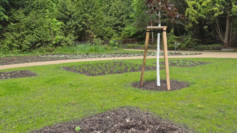 Neuer Skulpturenpark in Lübbenau schon vor Eröffnung beschädigt