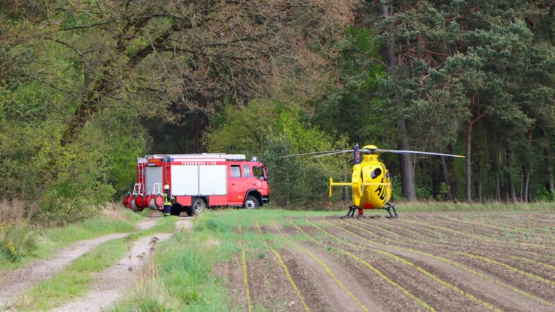 Tödlicher Arbeitsunfall bei Baumfällarbeiten nahe Jämlitz