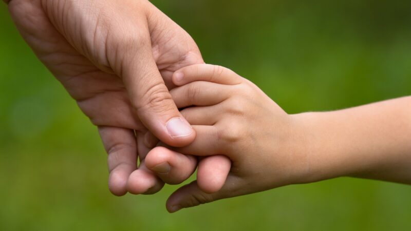 Kinderhospiz Pusteblume bekommt Spenden aus Benefiz-Konzertreihe