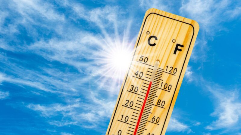 Extreme Hitze in der Lausitz: Bis zu 41 Grad möglich