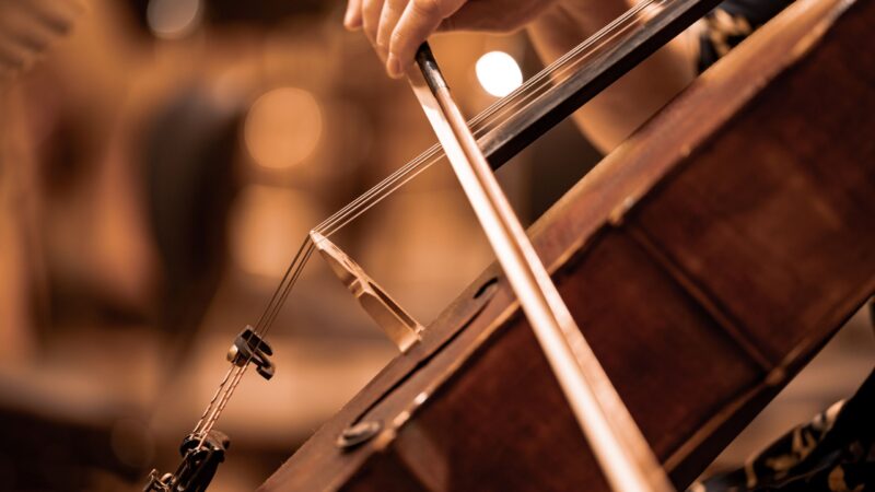 Jugend musiziert Cottbus: Nachwuchstalente holen Bundespreise