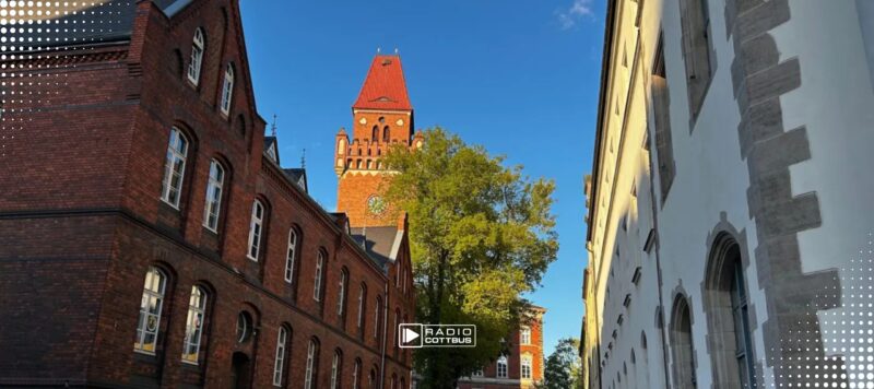 Lange Haftstrafen nach versuchtem Mord in Cottbus