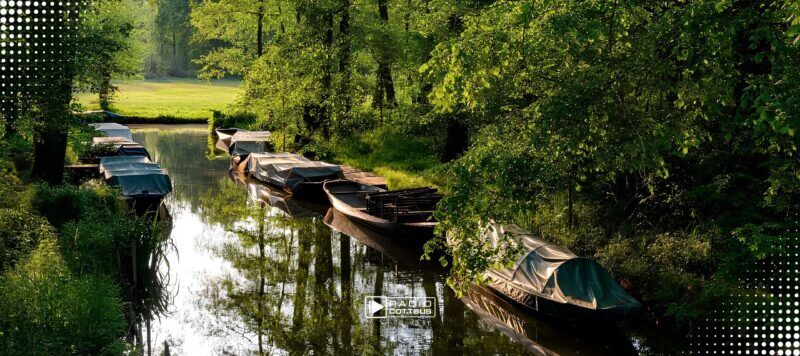 Nach Eichenprozessionsspinner: Erste Tour im Unterspreewald wieder frei