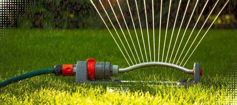 Wasser sparen im Sommer: Landkreis Spree-Neiße ruft zum bewussten Umgang auf
