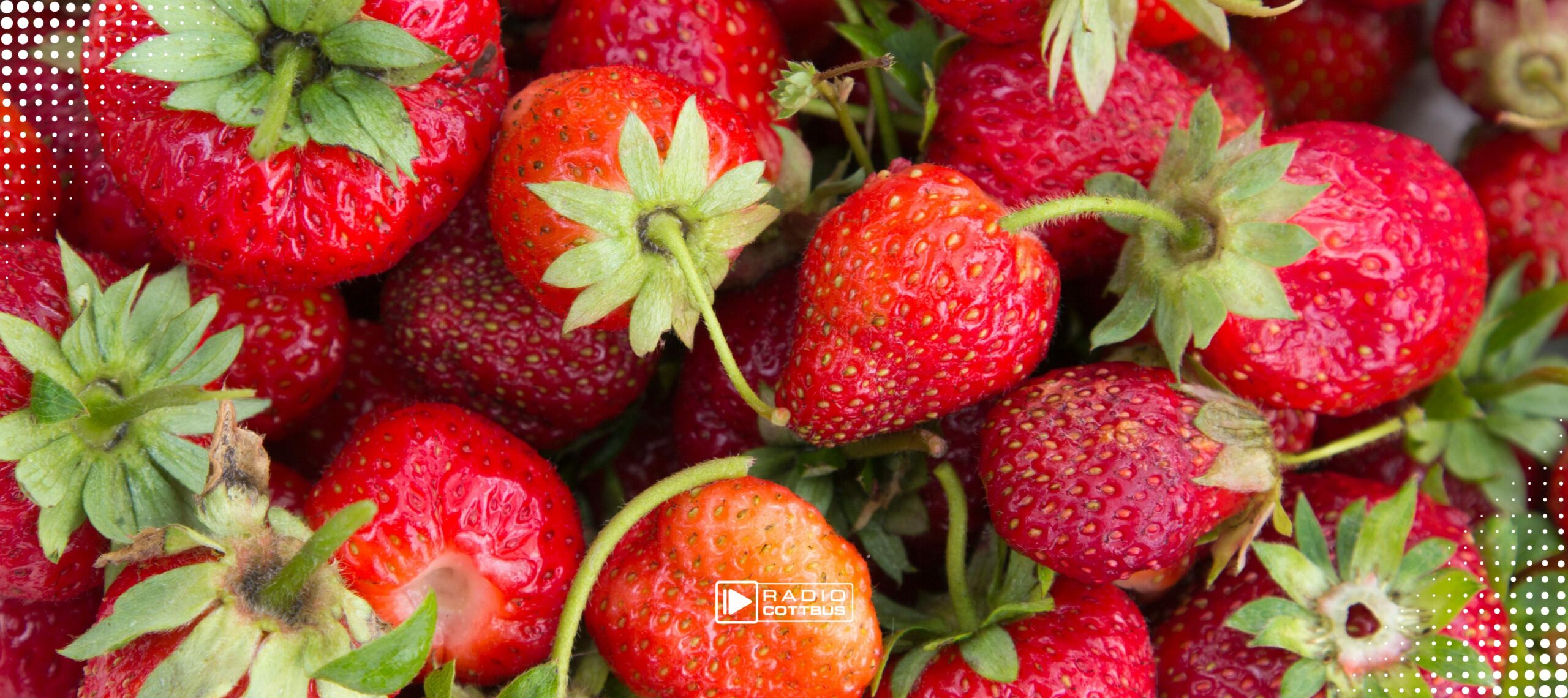 Mehrere Erdbeeren