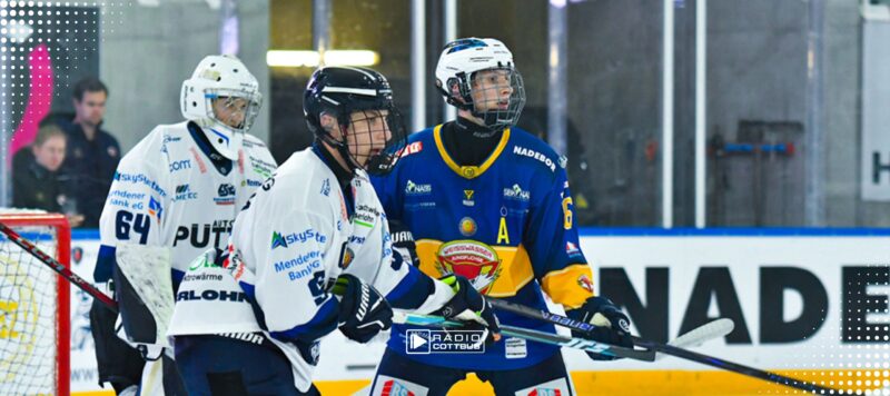 U20 kehrt zurück: Weißwasser wieder in der Deutschen Nachwuchsliga vertreten