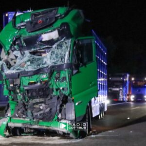 Ein verunfallter LKW auf der A15 Foto: Sophie Meyer / Blaulichtreport Lausitz