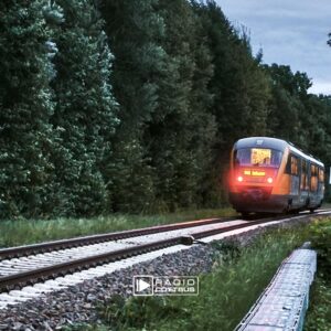 Odeg kollidiert mit Ast © Rene Lehmann/ Blaulichtreport Lausitz