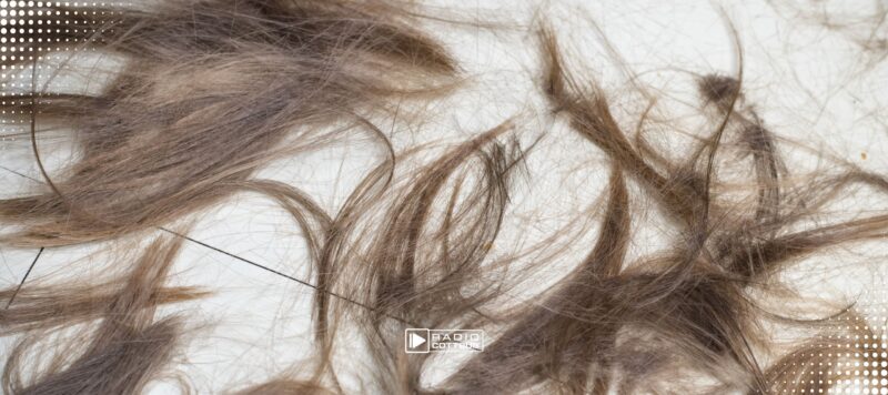 Barber Angels bei der Cottbuser Tafel: Kostenloser Haarschnitt für 39 Gäste