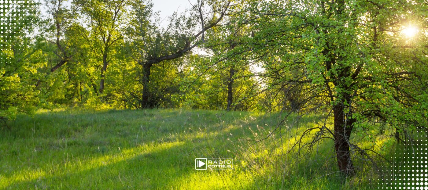 Unterricht in der Natur