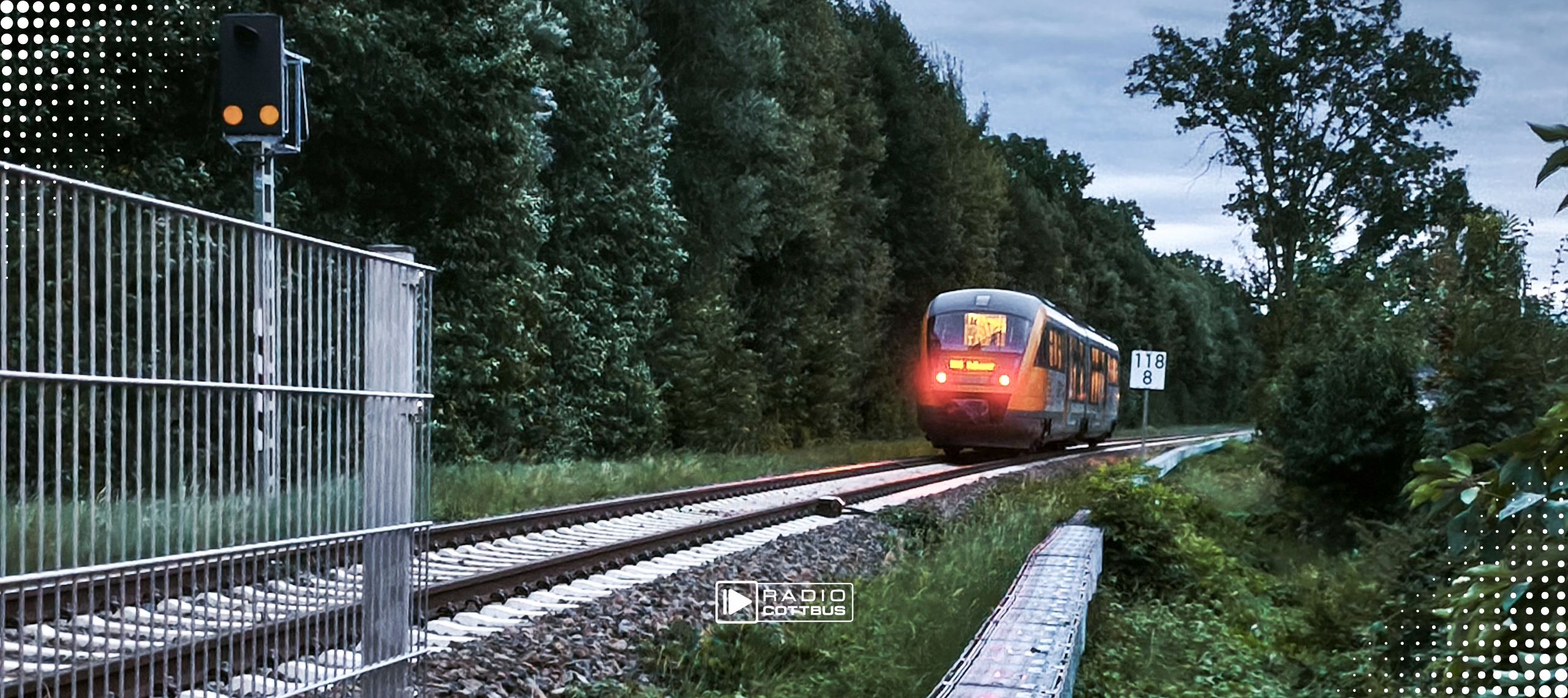 Odeg kollidiert mit Ast © Rene Lehmann/ Blaulichtreport Lausitz