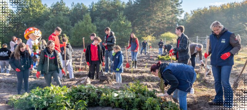 1.500 neue Bäume für Cottbus: Azubis pflanzen Wald in Saspow