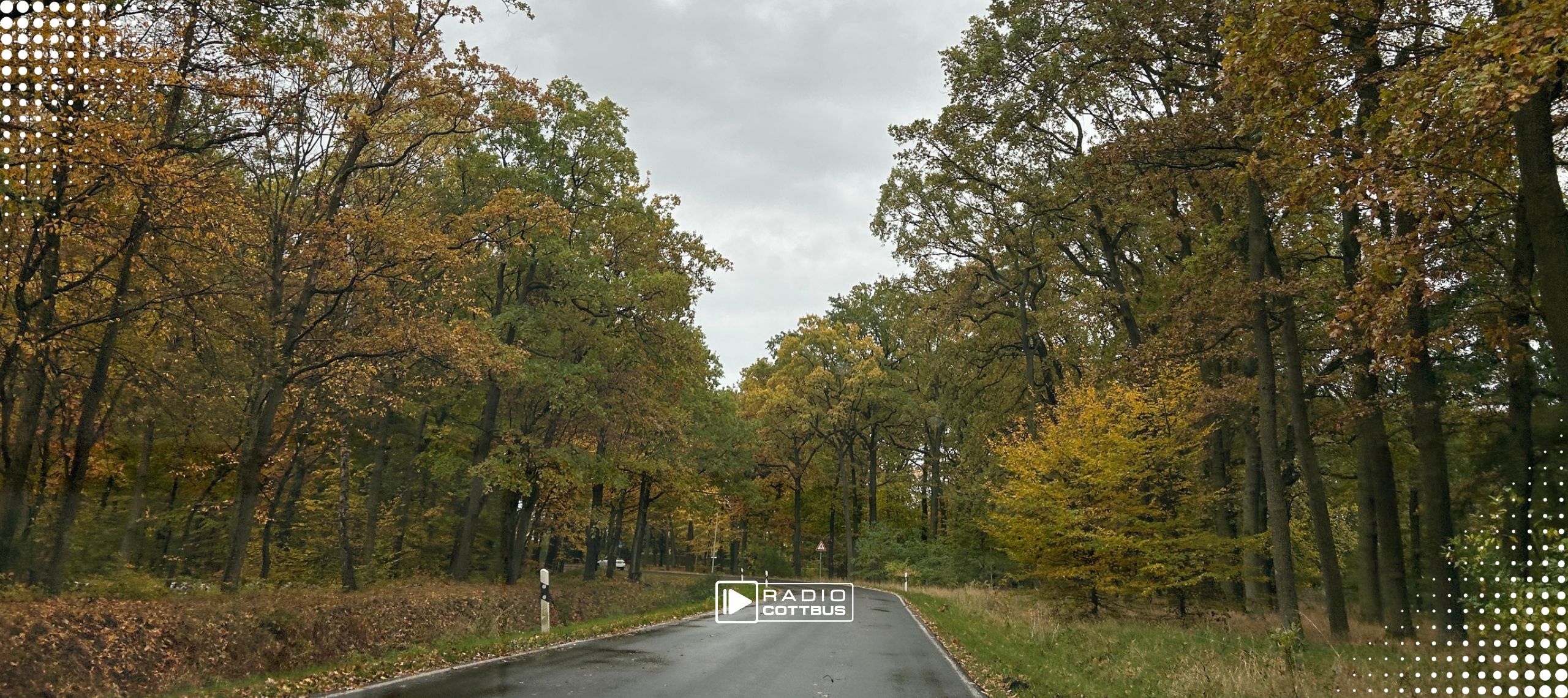 Herbst in Branitz