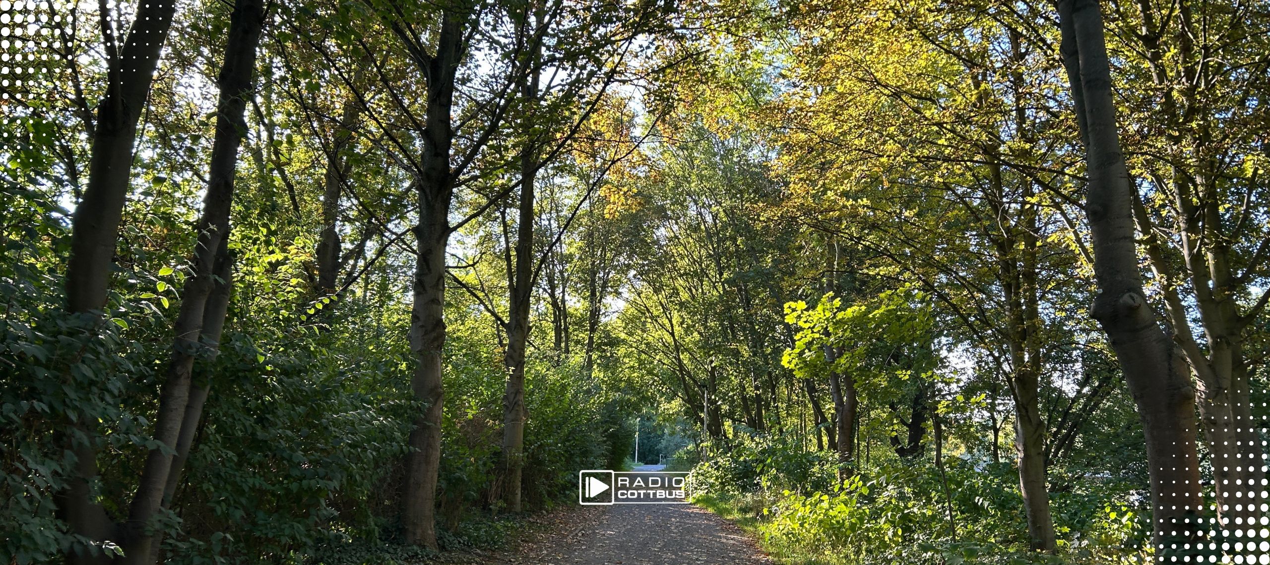 Weg an der spree in cottbus im Herbst