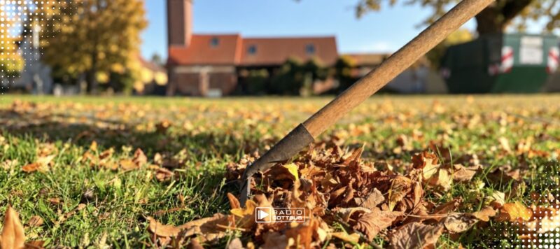 Kostenlose Laubentsorgung in Lübben: Hier stehen ab Oktober die Container