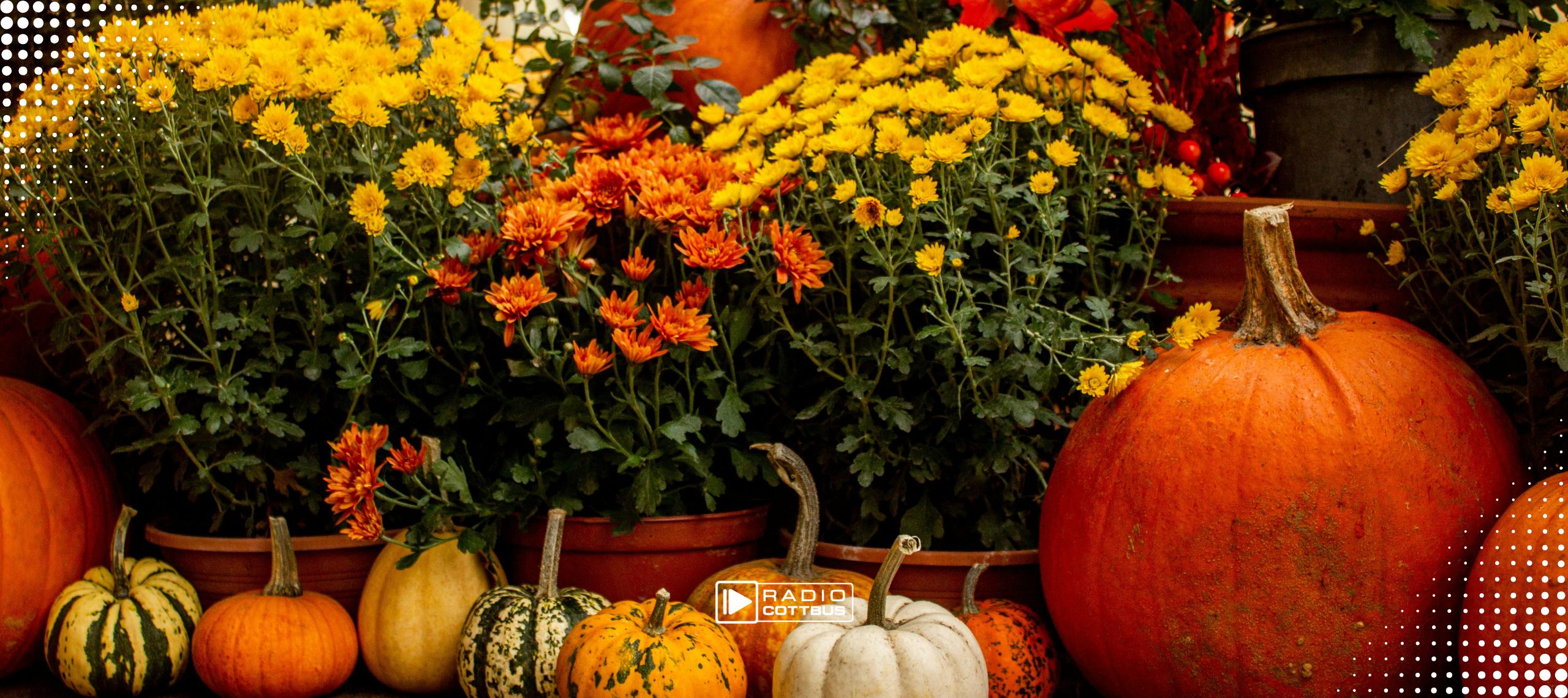 Herbst Garten