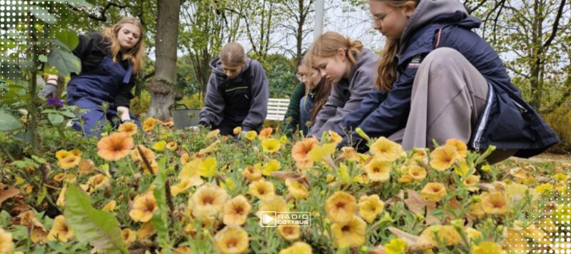 „Wassernixe“ kehrt in den Ostdeutschen Rosengarten zurück